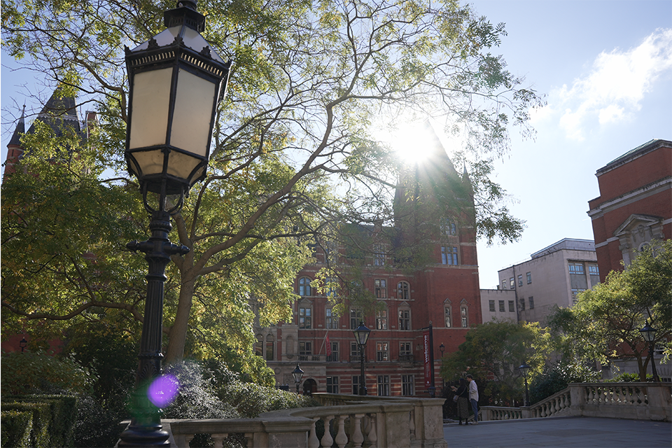 A red brick building partially hidden by a tree with a lamppost on the left. The sun is shining from behind the building.